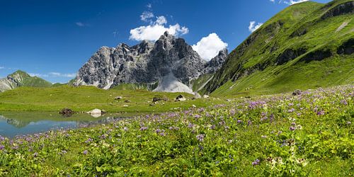 Grosser Wilder in de Allgäuer Alpen