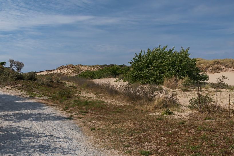 Marcher vers la mer dans les dunes de Meijendel par Mirjam Welleweerd