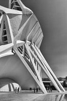 Ciutat de les Arts i les Ciències, Valencia