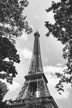 Tour Eiffel | Paris sur Roanna Fotografie