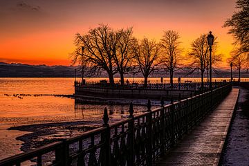 Schlosshorn Friedrichshafen am Bodensee von Dieter Walther