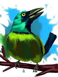 Farbenfroh Grackle
