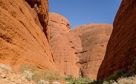 Kata Tjuta by Pieter van der Zweep
