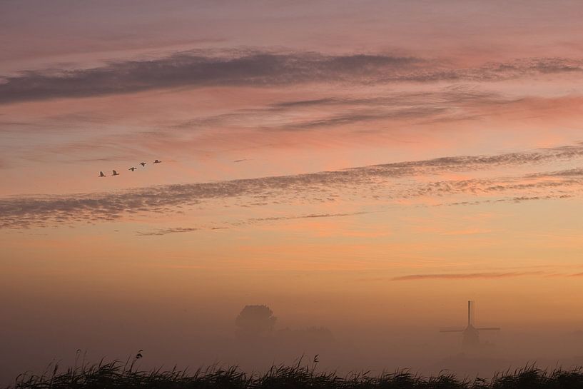 Molen wieken in de mist van peterheinspictures