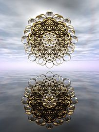 Toroïdale Reflecties