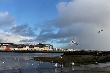 A Galway View von Naomi Kroon