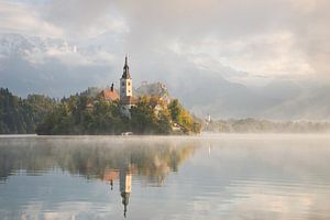 Bled See an einem schönen nebligen Morgen