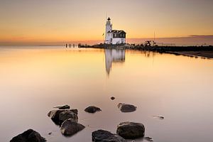 Pferd von Marken bei Sonnenaufgang