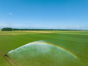 Bewässerungspistolen spritzen Wasser auf ein Feld
