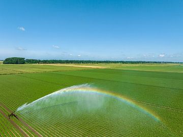Besproeiingspivotmachines sproeien water op een veld