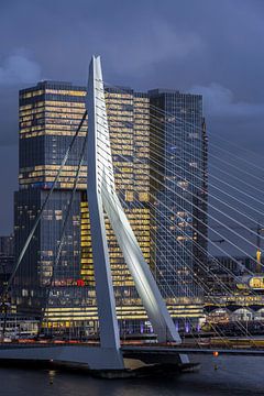 Erasmusbrug / De Rotterdam van Prachtig Rotterdam