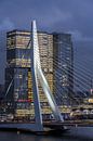 Erasmusbrücke / Die Rotterdam von Prachtig Rotterdam Miniaturansicht