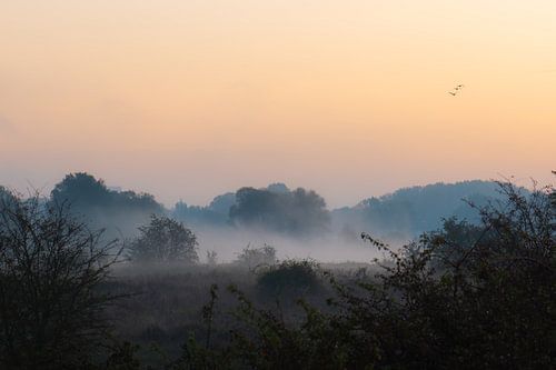 blauwe uur in de mist