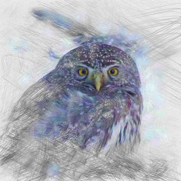 Artistic Animal Owl von Angelika Möthrath