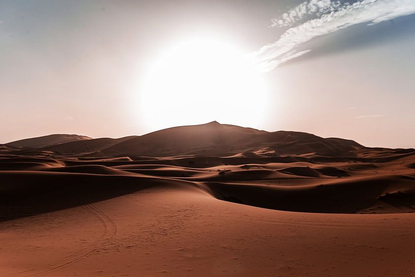 Sahara Desert by Walljar