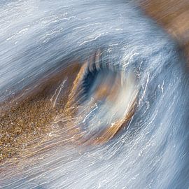 A shell in the surf
