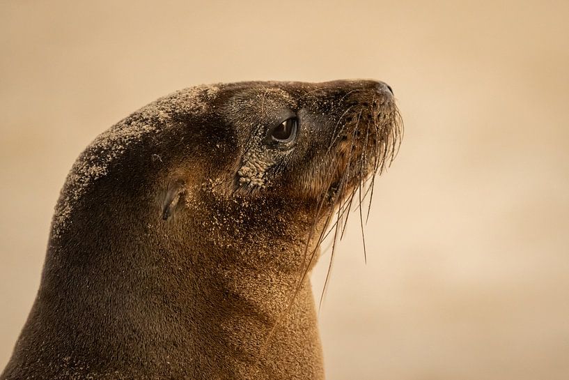 Enjoying Sunset by Jack Soffers