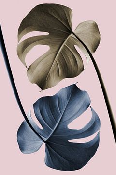 Monstera roze licht 02, 1x Studio III van 1x