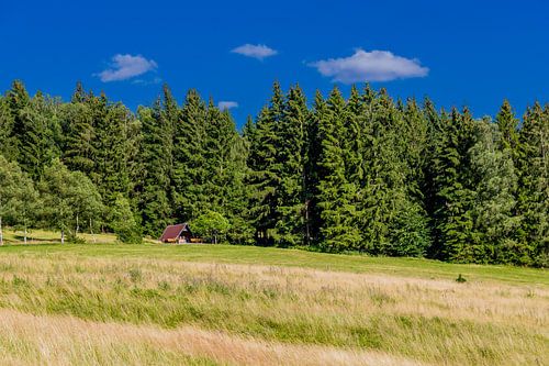 Prachtig landschap bij de Rennsteig/Thüringerwoud