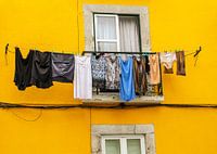 Hanging Out To Dry Landscape