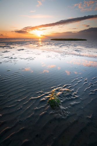 Sonnenuntergang über der Oosterschelde