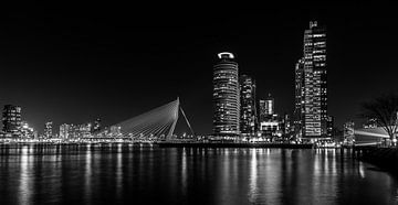 Famous Skyline of Rotterdam by Peter Hooijmeijer