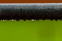 Ohne Titel
