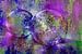 Petits trésors - boules de verre dans la lumière avec du violet, du pourpre et du bleu sur Annette Schmucker