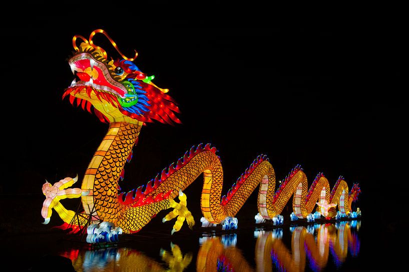 Draak ,Dragon van Brian Morgan