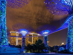 Singapore By Night - Gardens by the Bay II van Thomas van der Willik