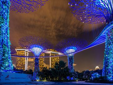 Singapore By Night - Gardens by the Bay II