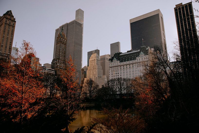New York City Central park Skyscrapers in Autumn by Joyce van Doorn