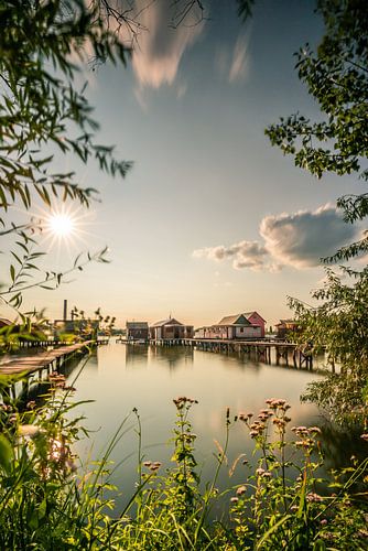 Vakantiehuizen in Hongarije in het meer met aanlegsteiger, omlijst door groene planten. bokodi drijv