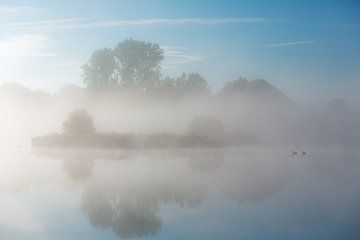 Nebel über dem Fluss Drentsche Aa in Drenthe, Niederlande