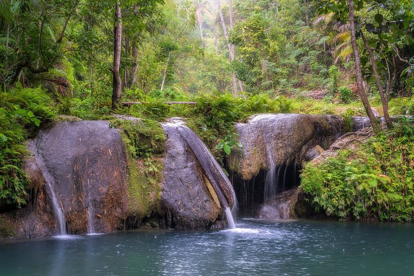 Kleine waterval op de Filippijnen in het bos met palmbomen van Daniel Pahmeier