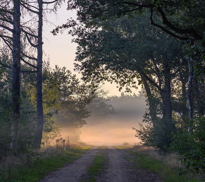 sfeervolle wandeling van Tania Perneel