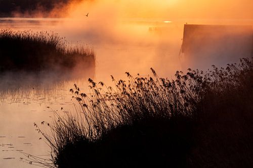 Federsee in de mist