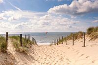 Beach entrance in the dunes with kite in the picture