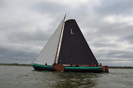 skûtsjesilen 2023 by Paul Fafieanie