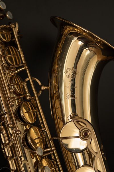 Saxophone by Antoon van Osch