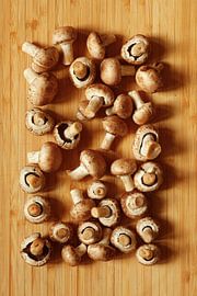 Champignons von Thomas Jäger