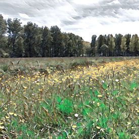 Flowering meadow III by Paul de Vos
