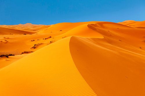 Erg Chebbi, sand dunes at sunset, Morocco