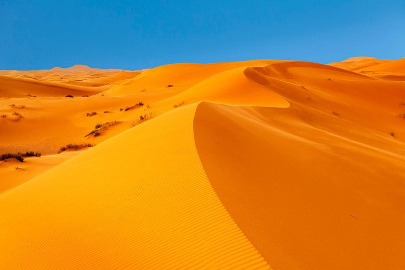 Erg Chebbi, zandduinen bij zonsondergang, Marokko van Markus Lange