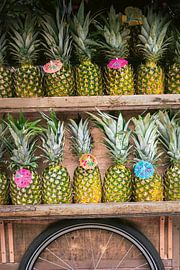 Ananas Madeira von HelloHappylife