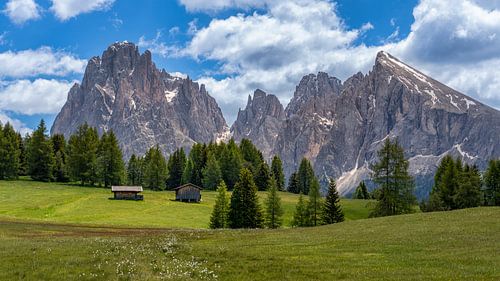 Alpe di Siusi - Sassolungo in de zomer