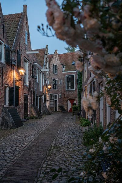 The Coopers gate with flowers by Manuuu