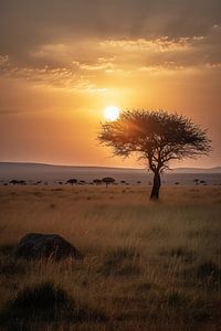 Sonnenuntergang in der Savanne