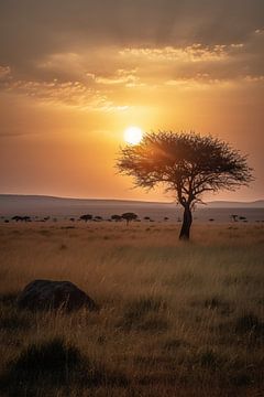 Coucher de soleil dans la savane sur drdigitaldesign