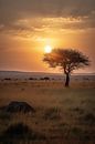Sunset in the Savannah by drdigitaldesign thumbnail